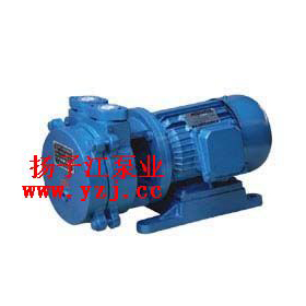 SK-0.15ֱ(li��n)ˮ�h(hu��n)ʽ��ձ�